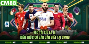 Kèo Tài Xỉu Là Gì - Kiến Thức Cơ Bản Cần Biết Tại CM88