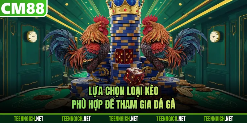 Lựa chọn loại kèo phù hợp để tham gia đá gà 