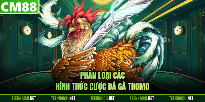 Phân loại các hình thức cược đá gà Thomo 